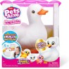 Pets alive mamá pato sopresa